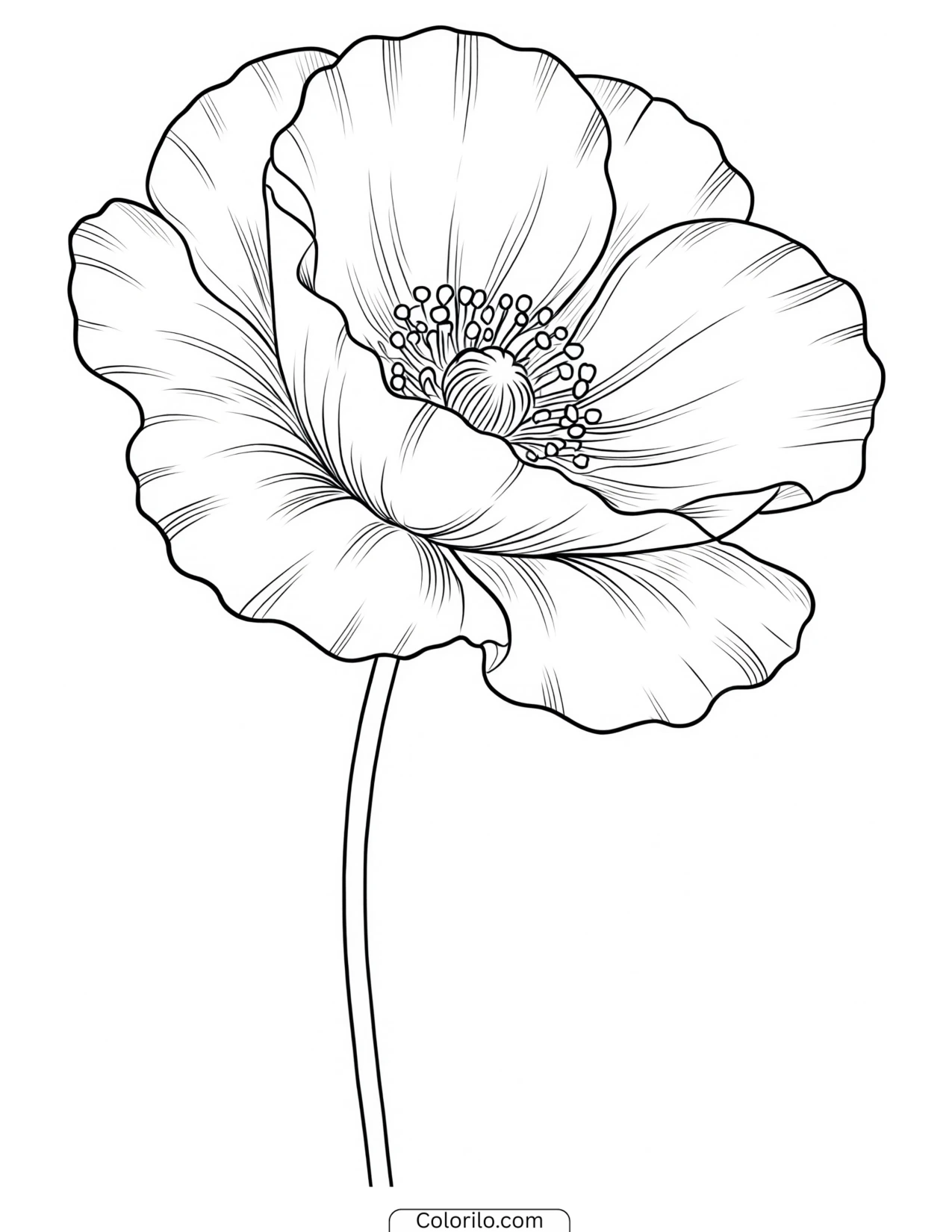 One poppy bloom on its stem coloring page