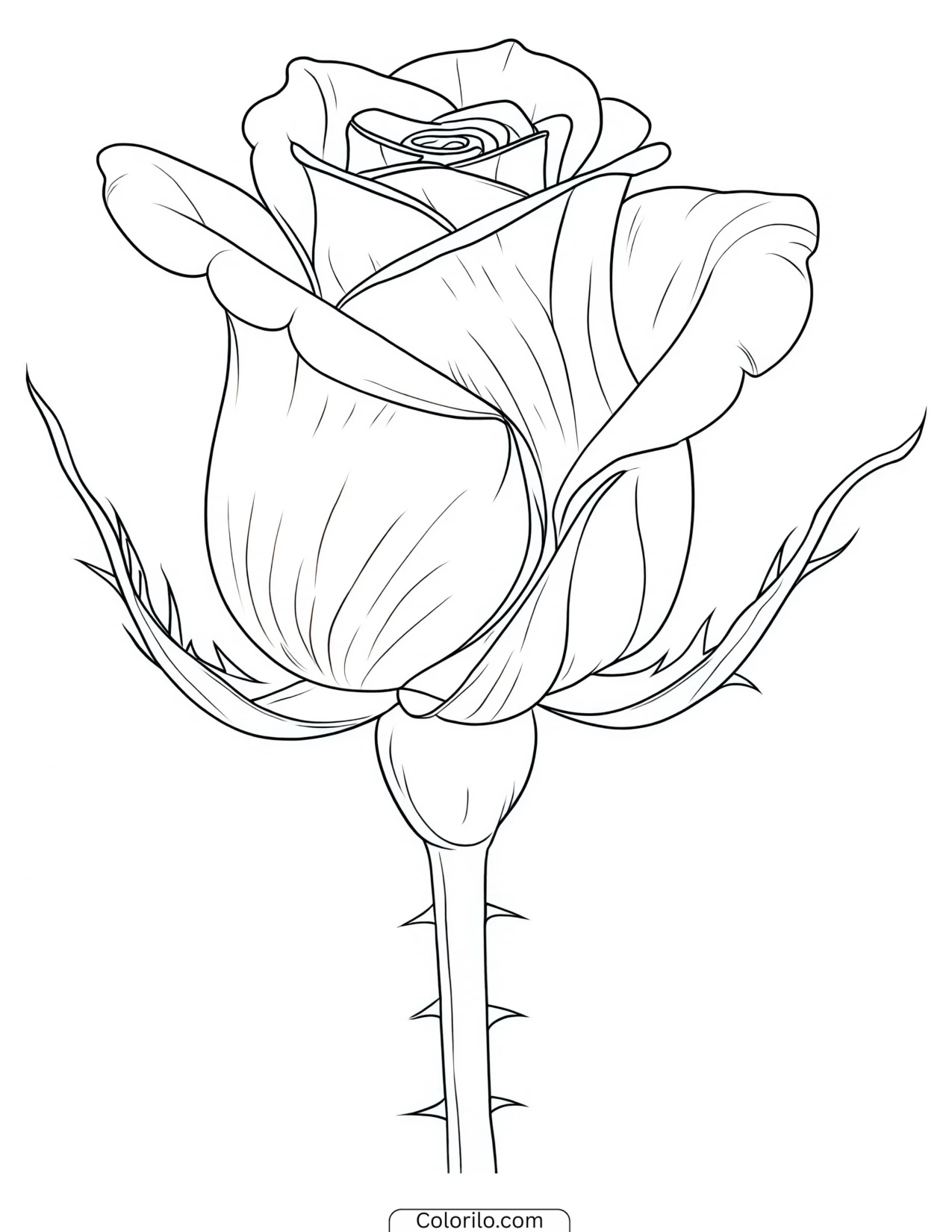 A single rose drawn simply coloring page