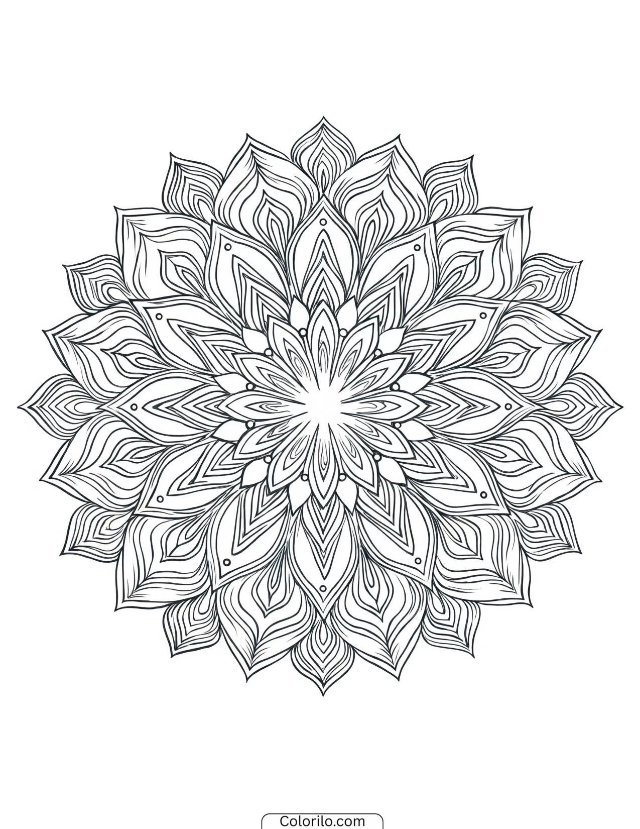 Dahlia mandala with sixteen radiating petals coloring page