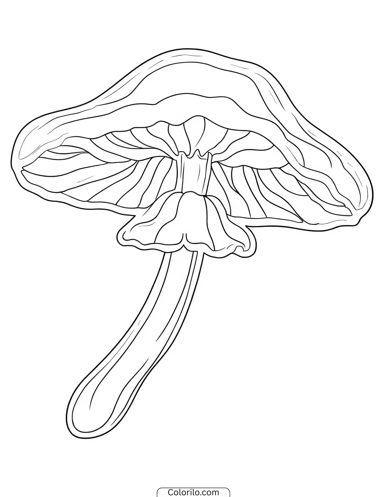 Mushroom with a long slender stem coloring page