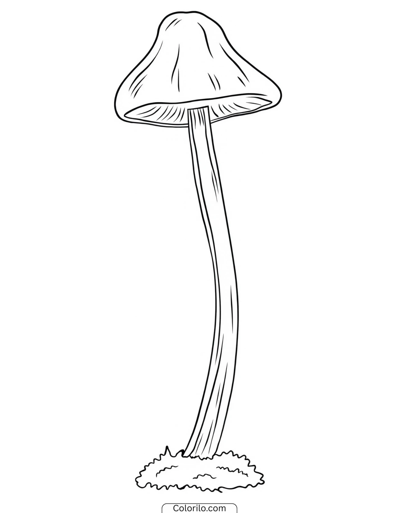 Slim toadstool drawn in outline coloring page