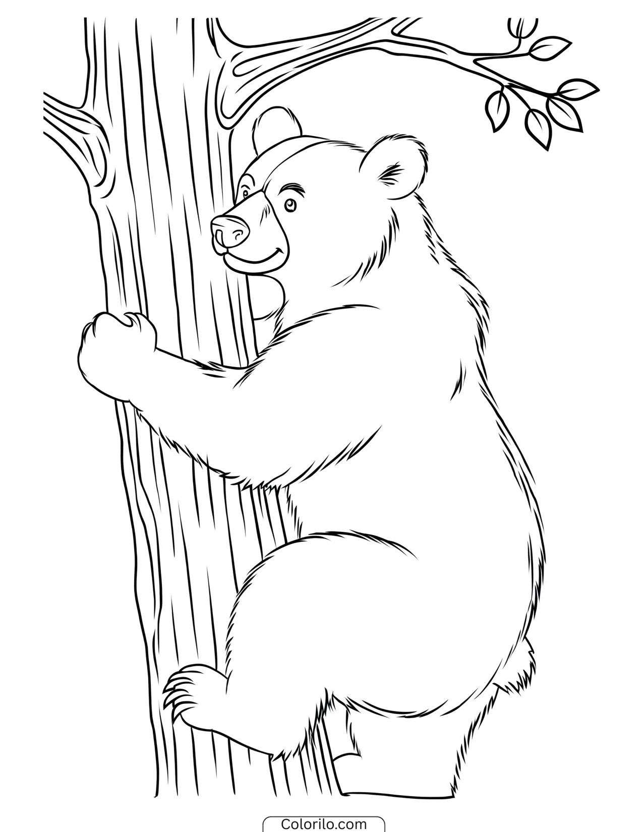 Smiling bear climbing a tree trunk coloring page