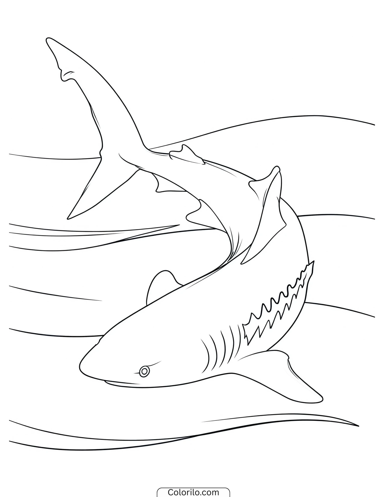 Smiling spotted shark swimming coloring page