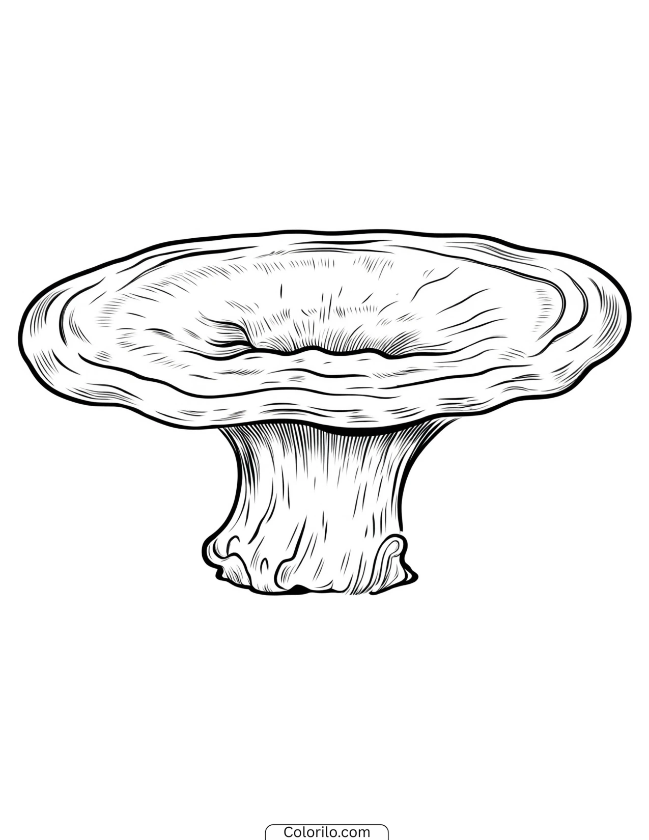 Mushroom with a smooth unmarked cap coloring page