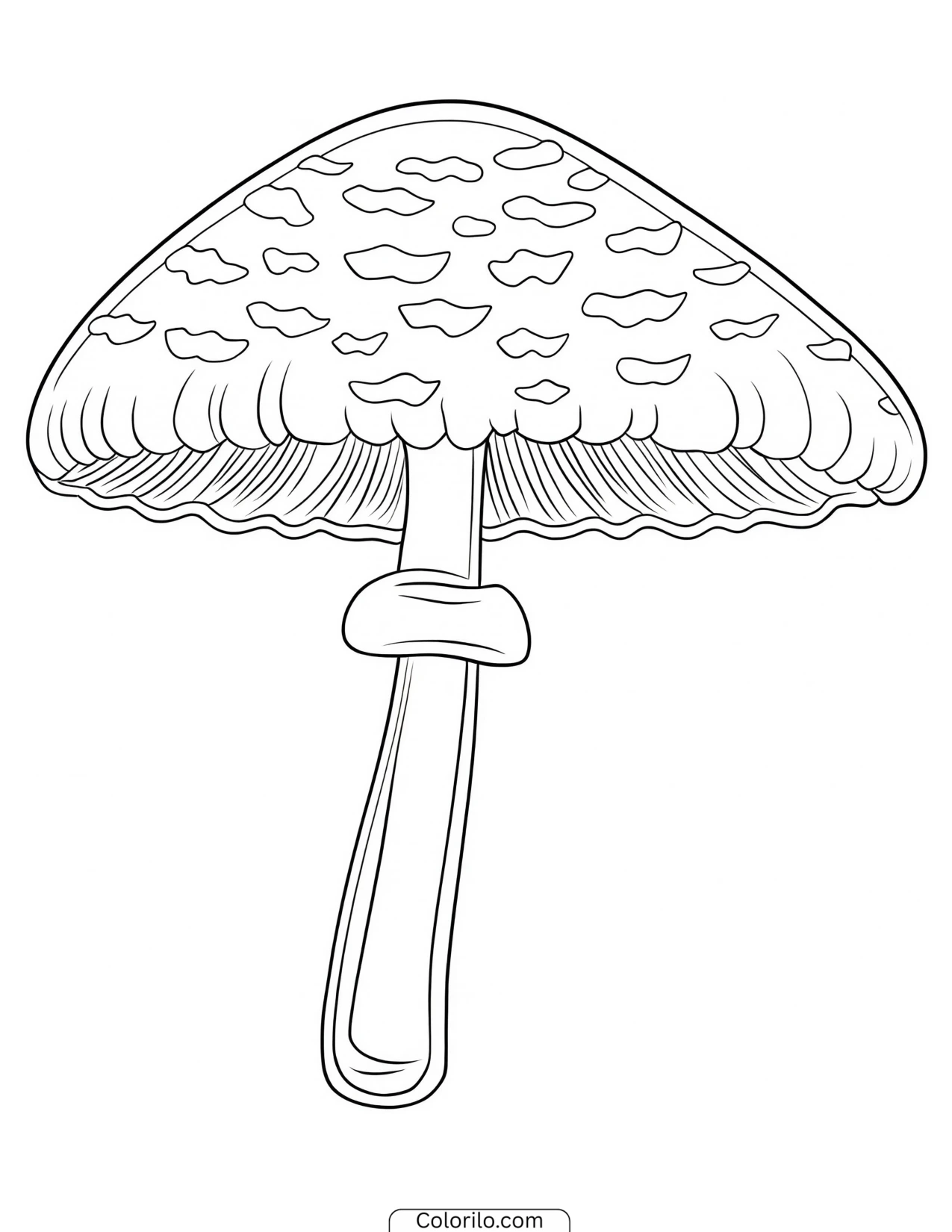 Amanita mushroom with white spots on its cap coloring page