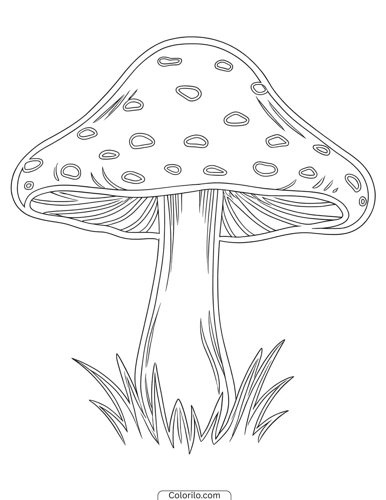 Spotted mushroom growing in the grass coloring page