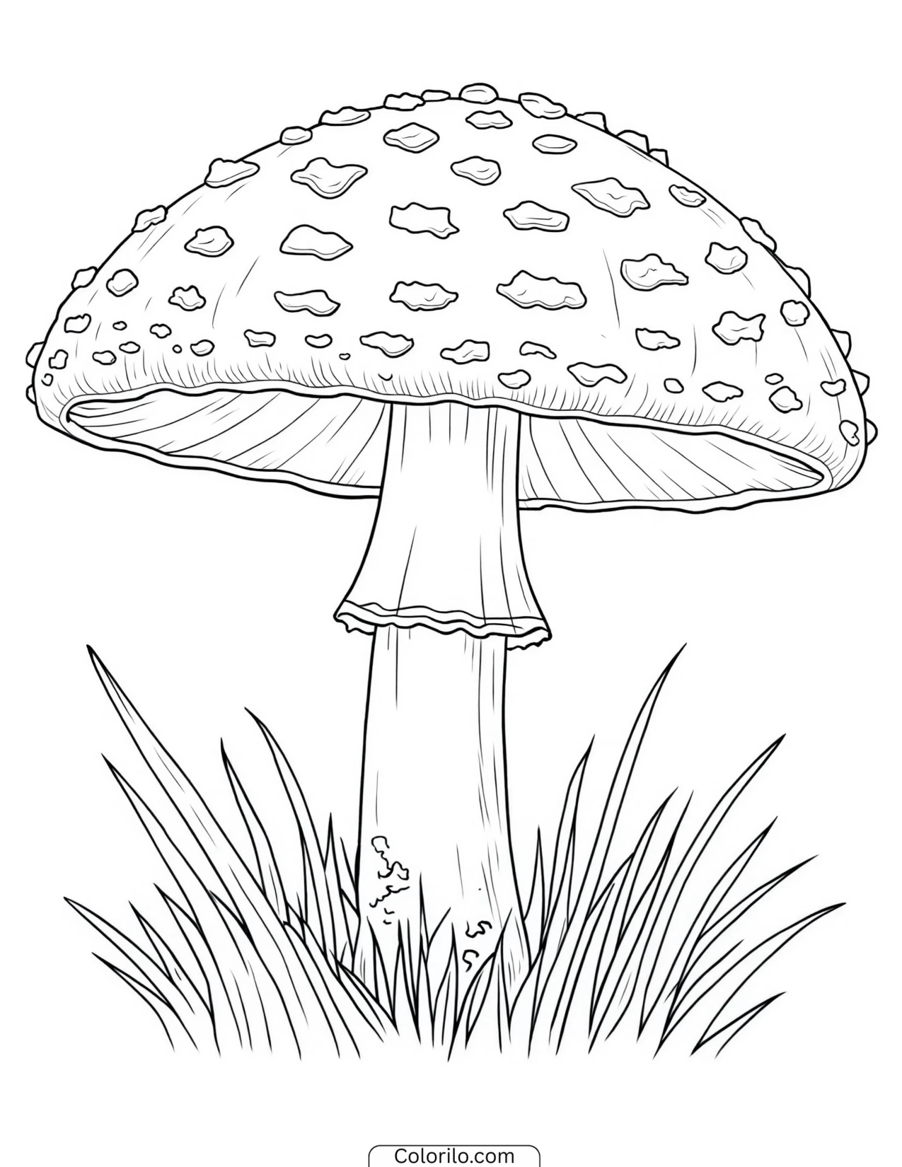 Spotted mushroom standing in an open meadow coloring page