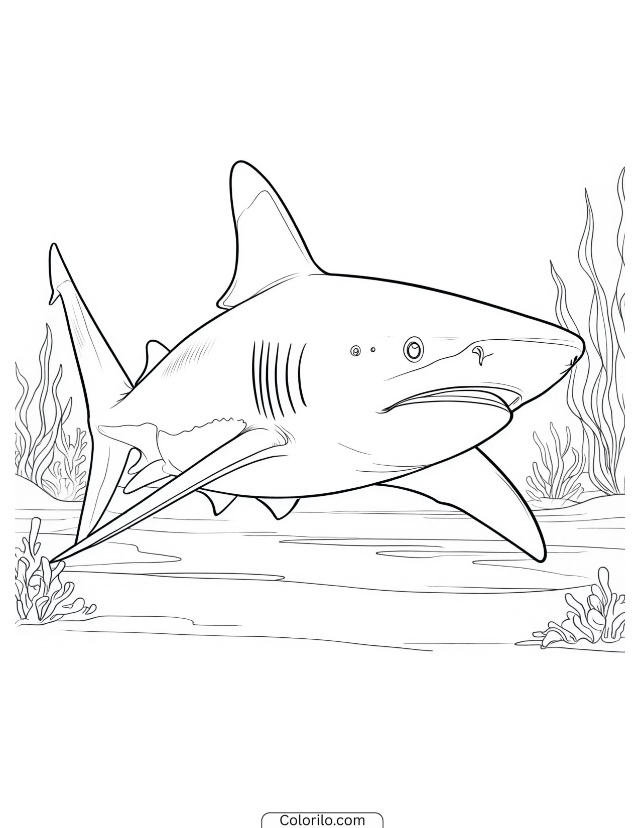 Spotted shark swimming over the seabed coloring page