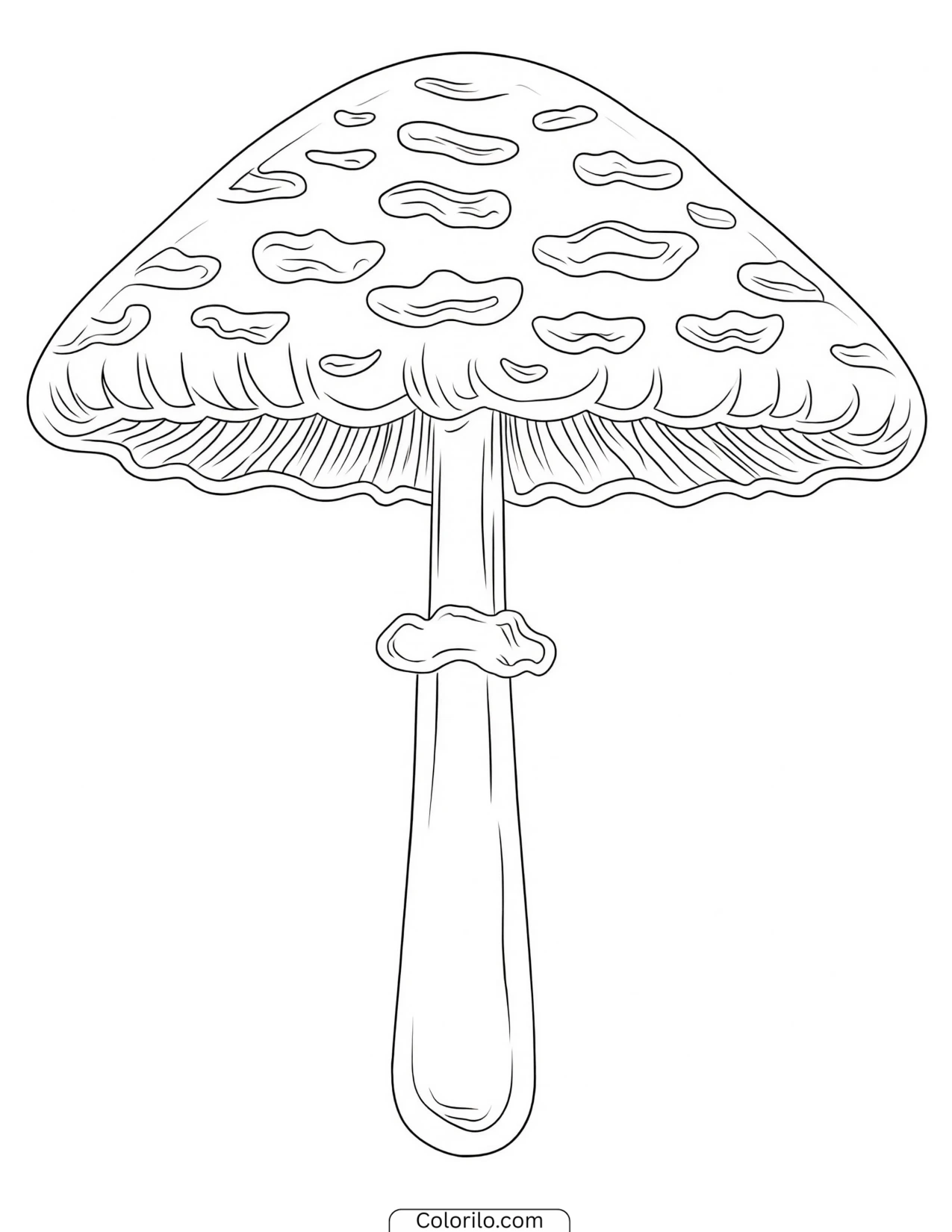 Close view of a spotted toadstool cap coloring page