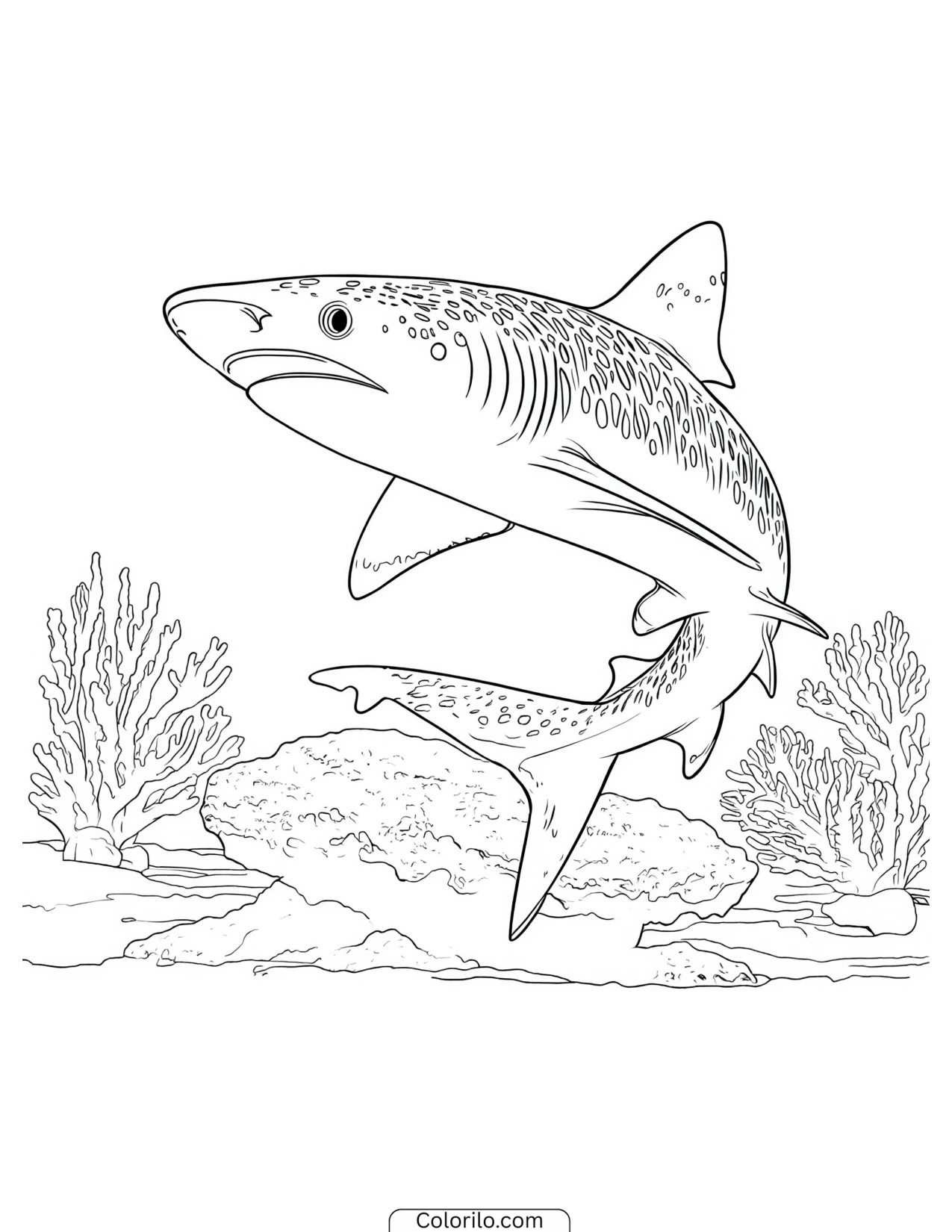 Striped shark swimming above rocks coloring page