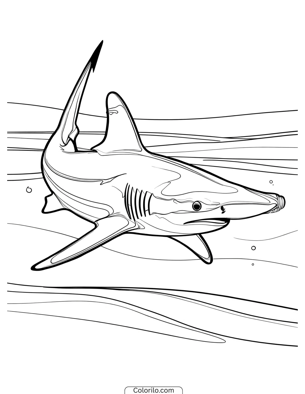 Striped shark swimming over the seabed coloring page