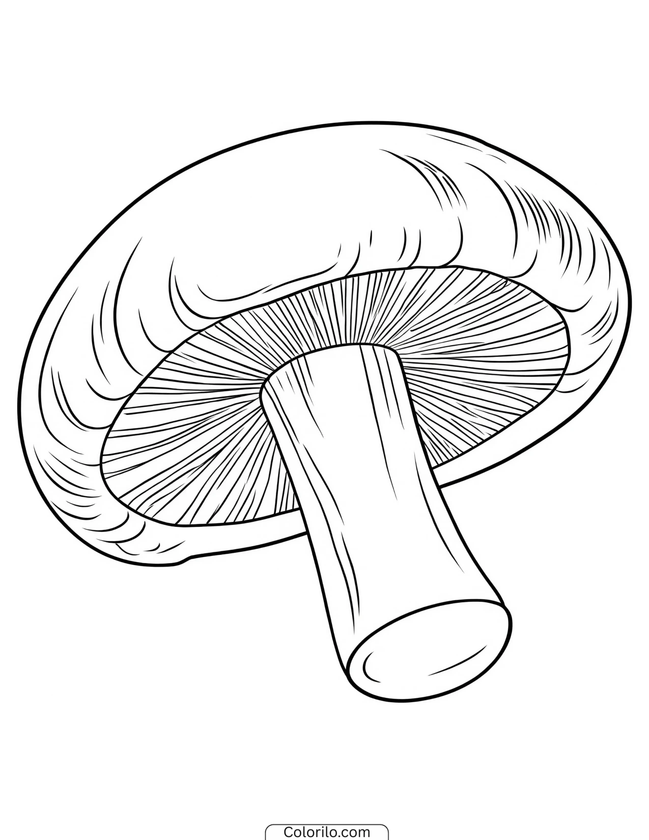 Mushroom with a broad sturdy stem coloring page