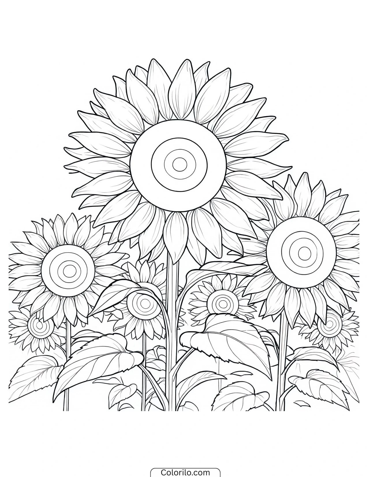 Sunflowers growing across a field coloring page