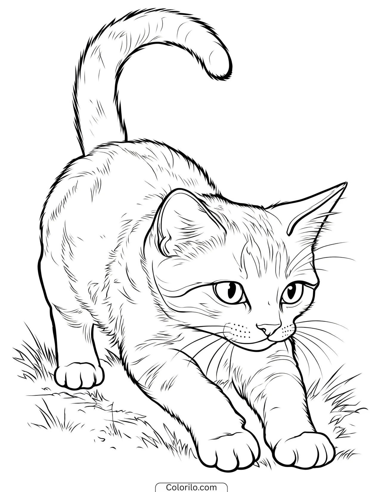 Tabby kitten crouching low in the grass coloring page