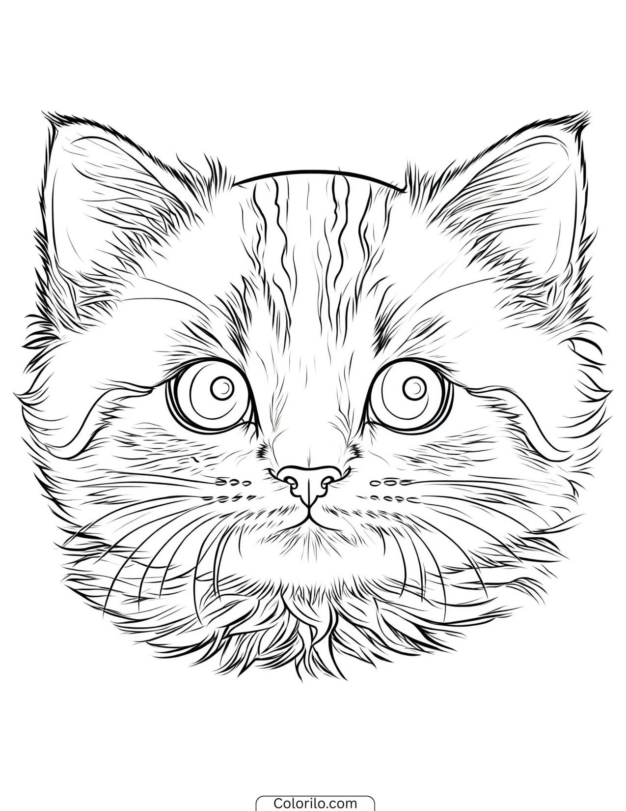 Close-up of a tabby kitten's face coloring page