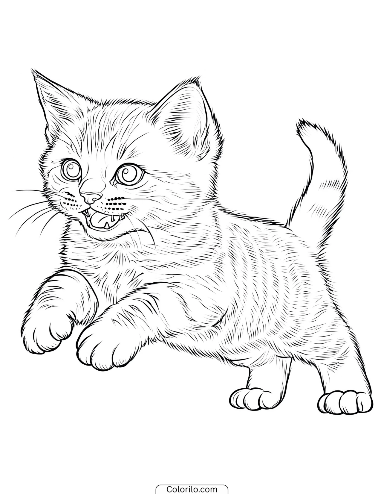 Tabby kitten pouncing playfully forward coloring page
