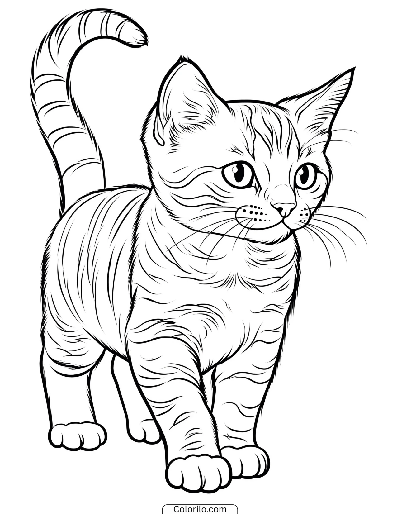Tabby kitten walking across in side view coloring page
