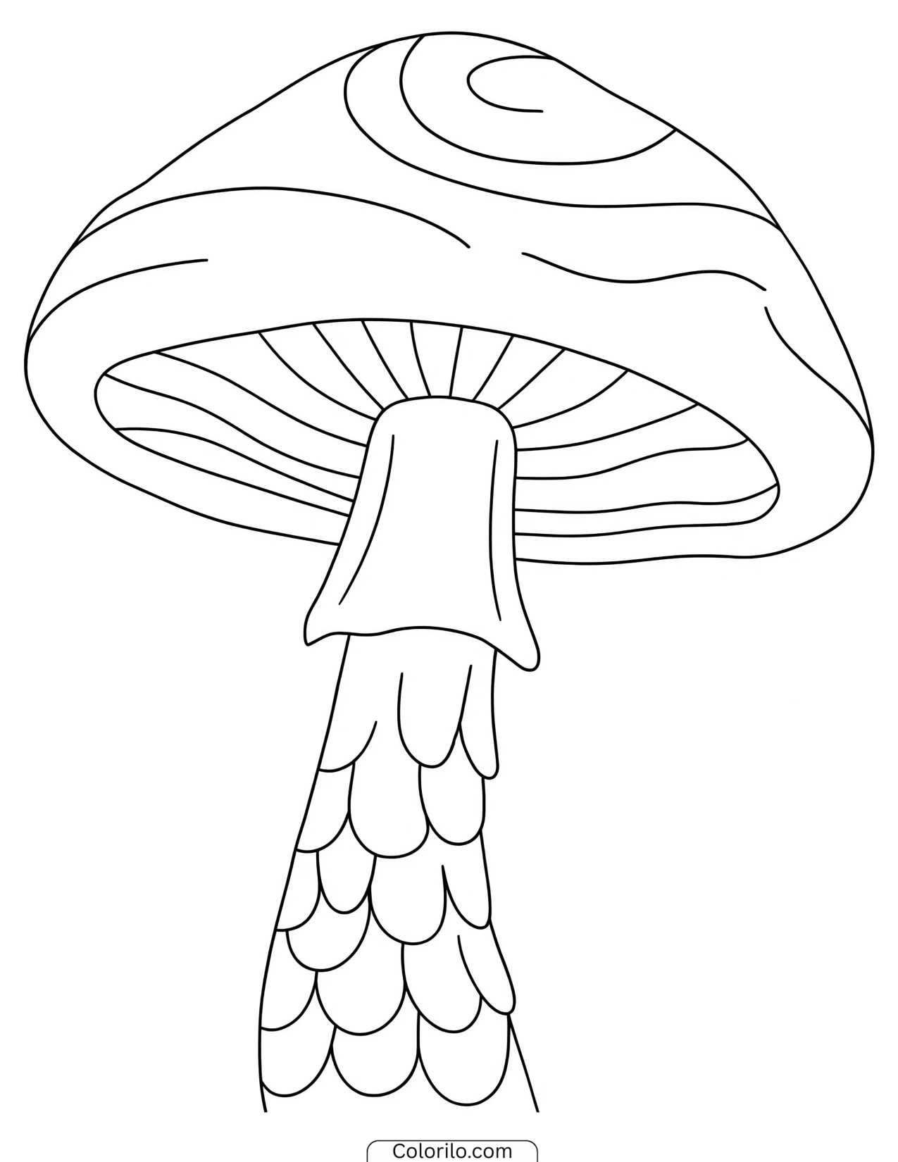 Sketch of a tall mushroom with a high cap coloring page