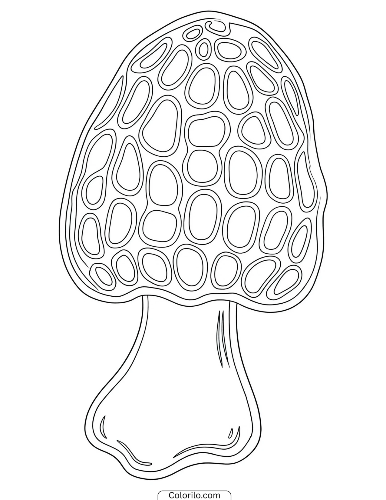 Tall morel mushroom on its pale stem coloring page