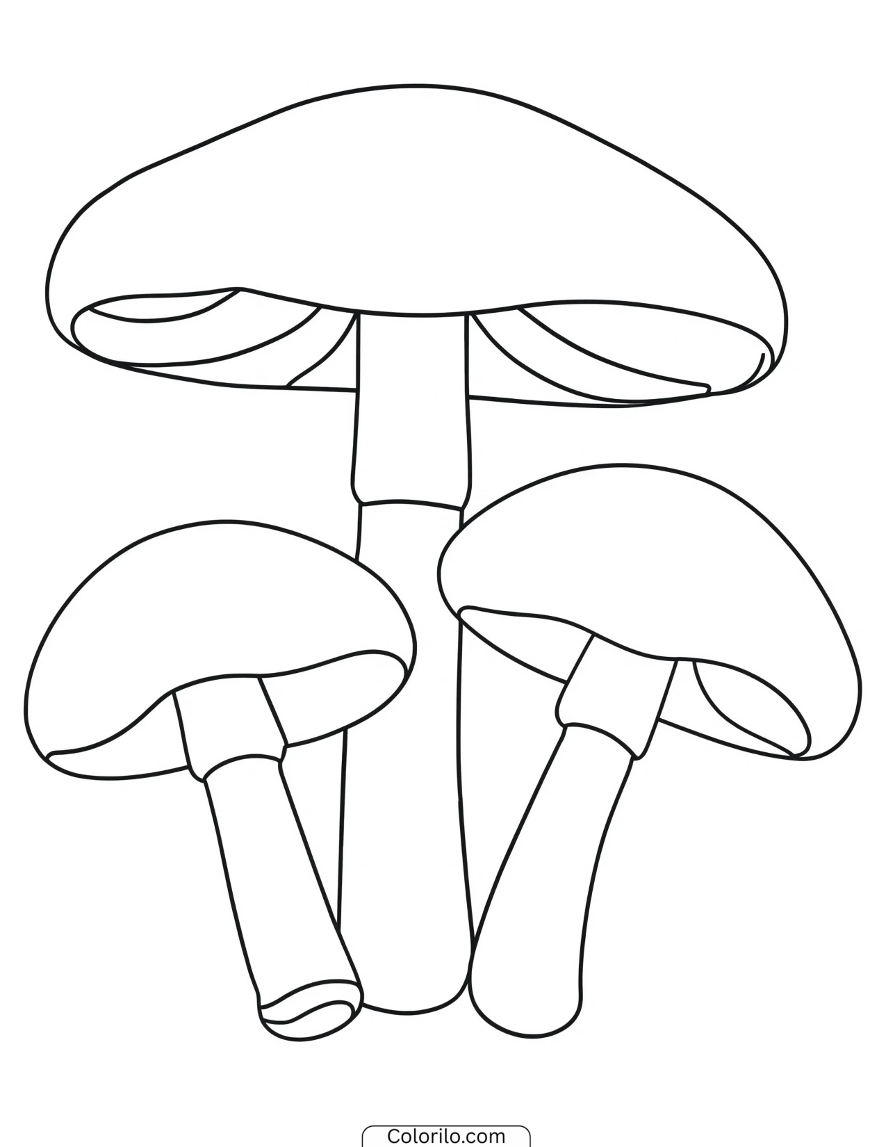Three mushrooms clustered at the base coloring page