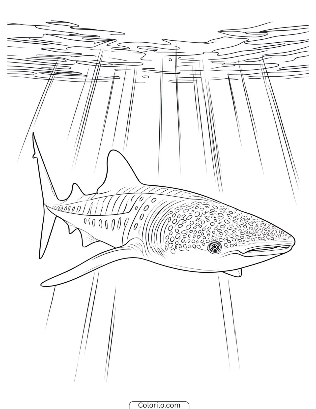 Tiger shark swimming near coral coloring page