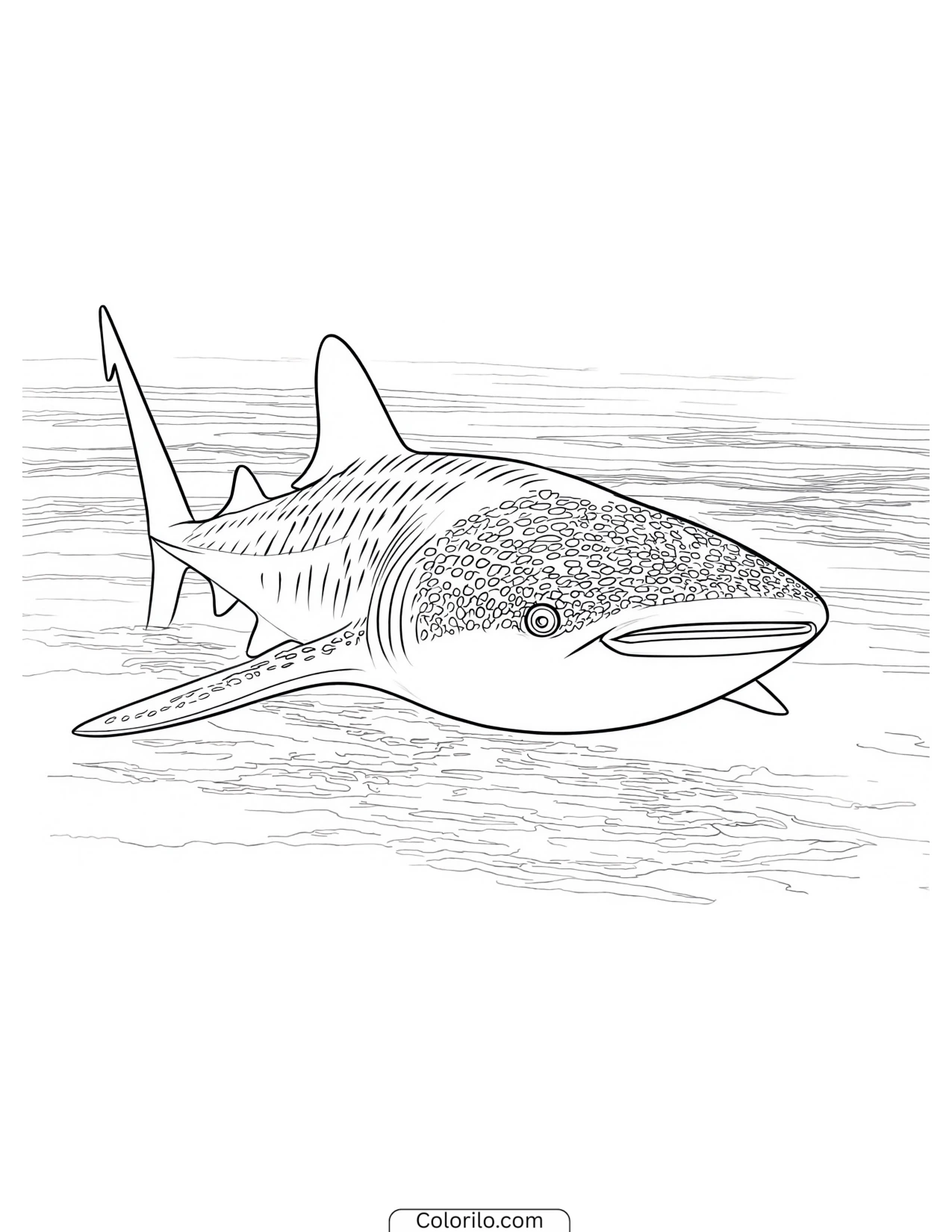 Tiger shark swimming through open water coloring page