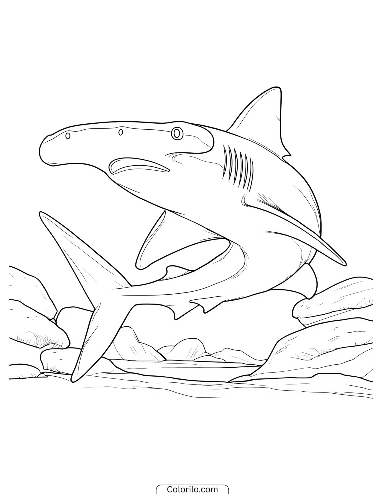 Hammerhead shark twisting as it swims coloring page