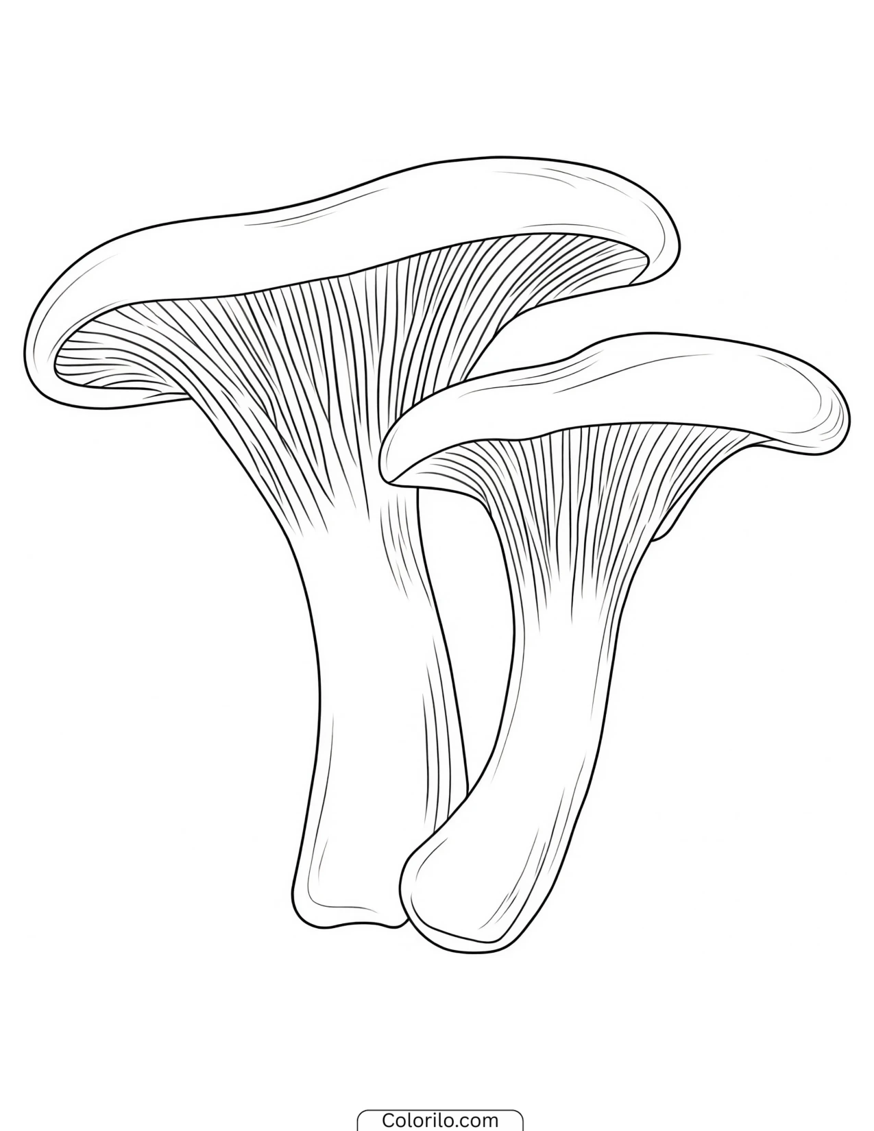 Two mushrooms leaning against each other coloring page