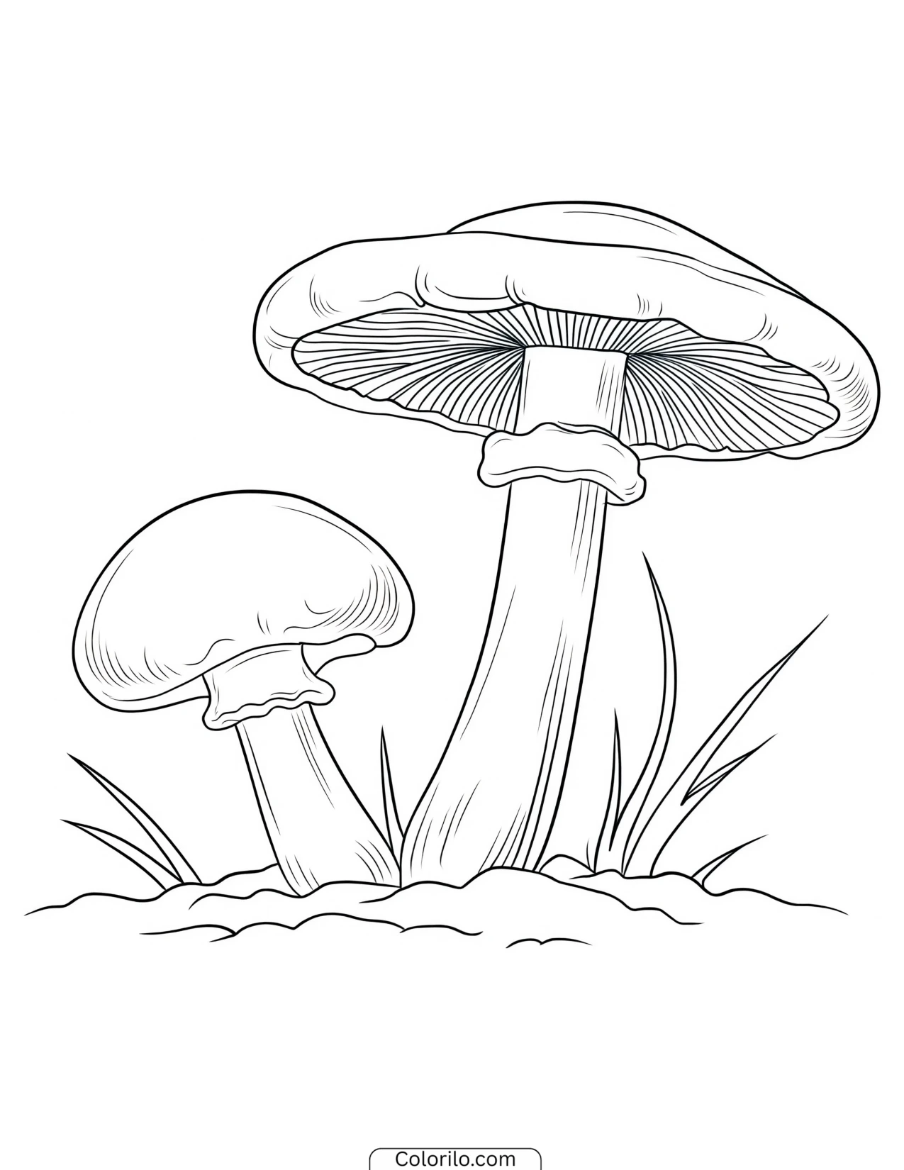 Two mushrooms growing in the grass coloring page