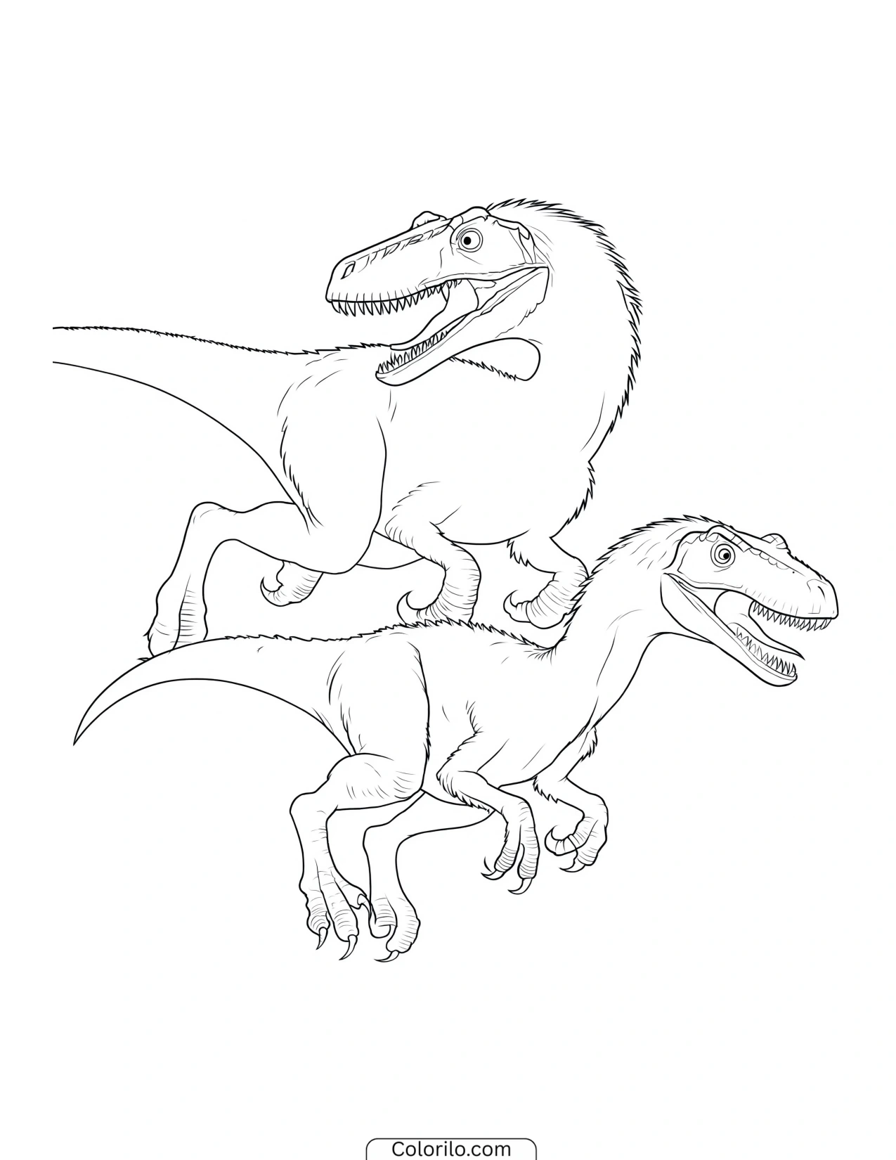 Two feathered raptors running side by side coloring page
