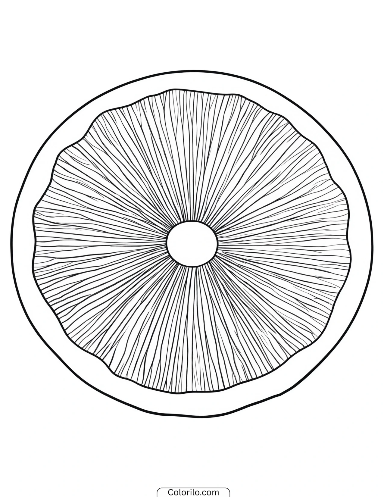 The underside of a mushroom cap showing its gills coloring page