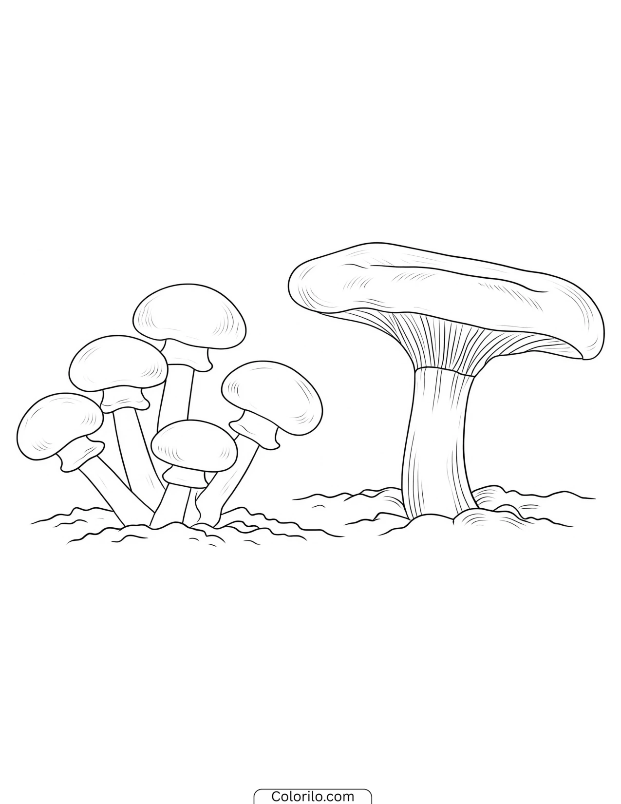 Mushroom with a wavy rippled cap edge coloring page