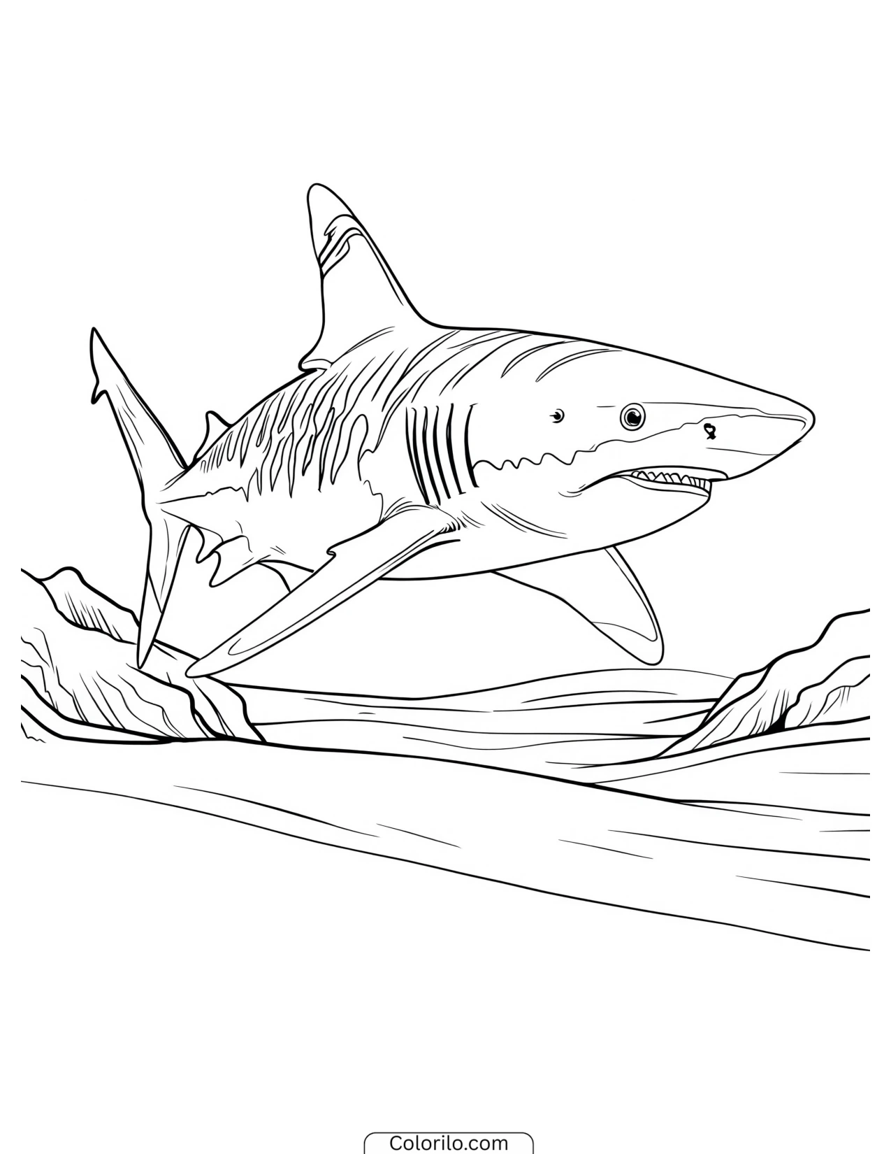 Whale shark swimming in deep water coloring page