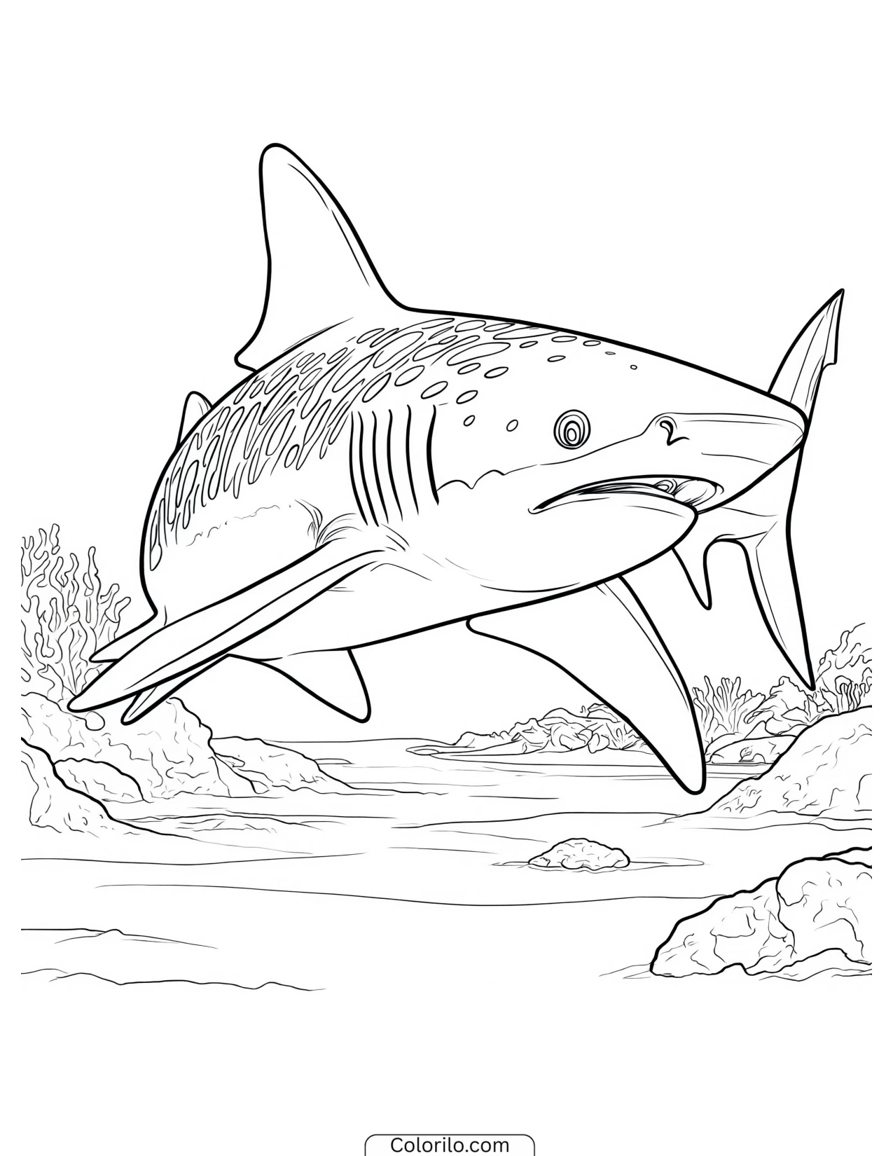 Whale shark swimming underwater coloring page