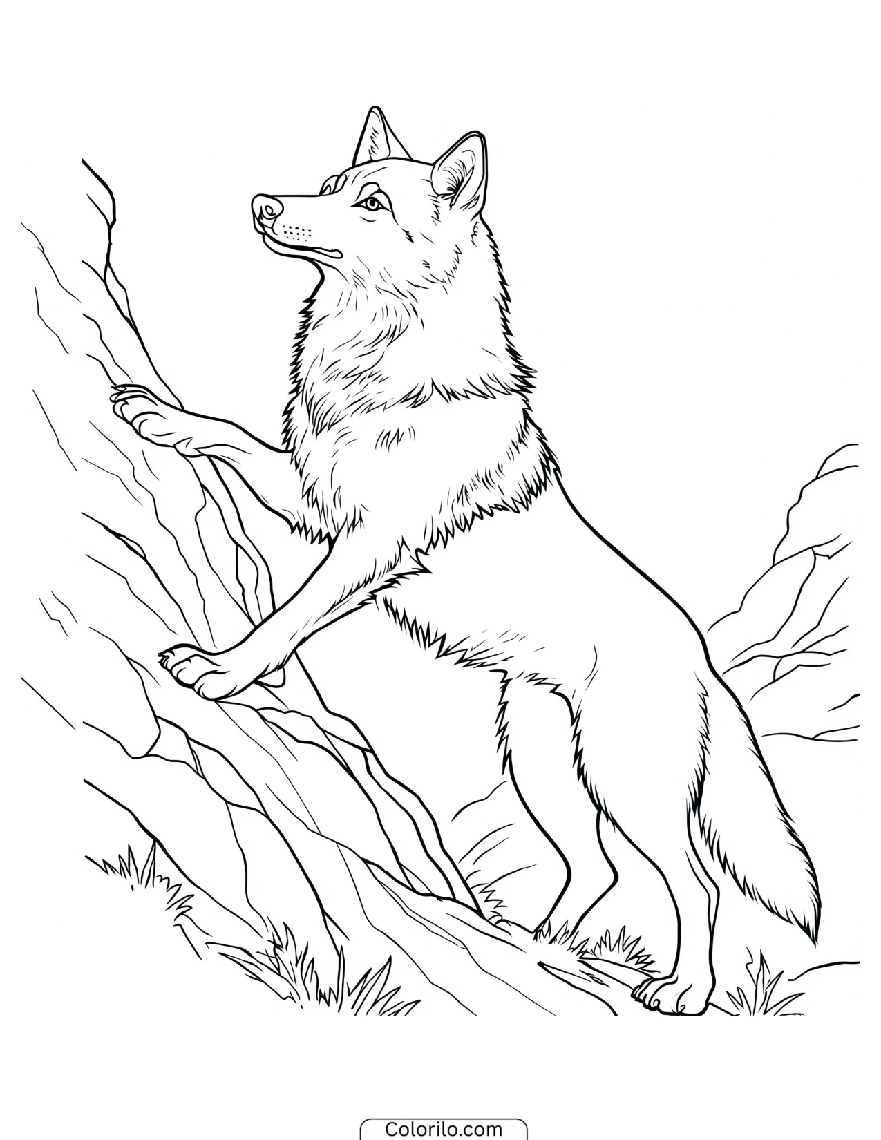 Wolf climbing up a steep rock face coloring page