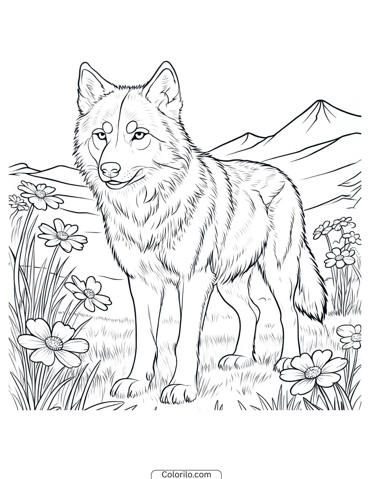 Wolf standing in a meadow of wildflowers coloring page