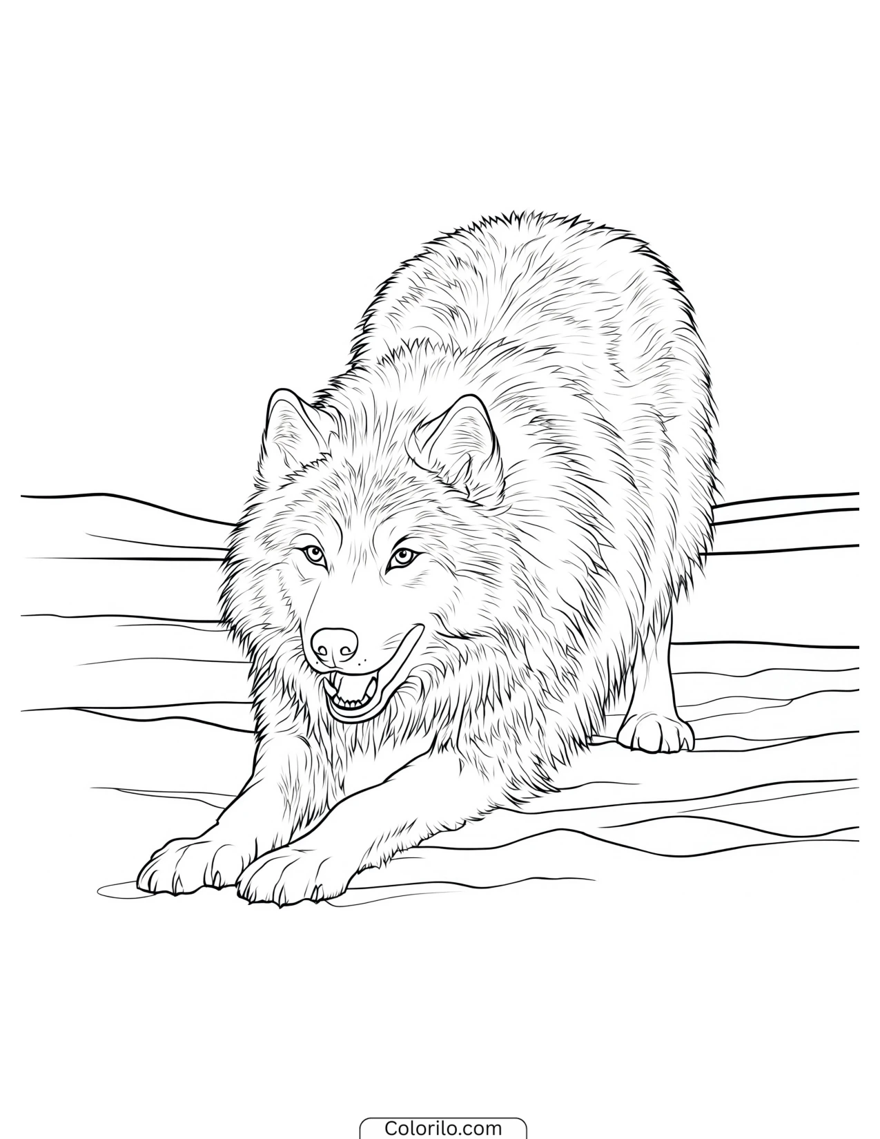 Wolf crouched in a playful bow coloring page