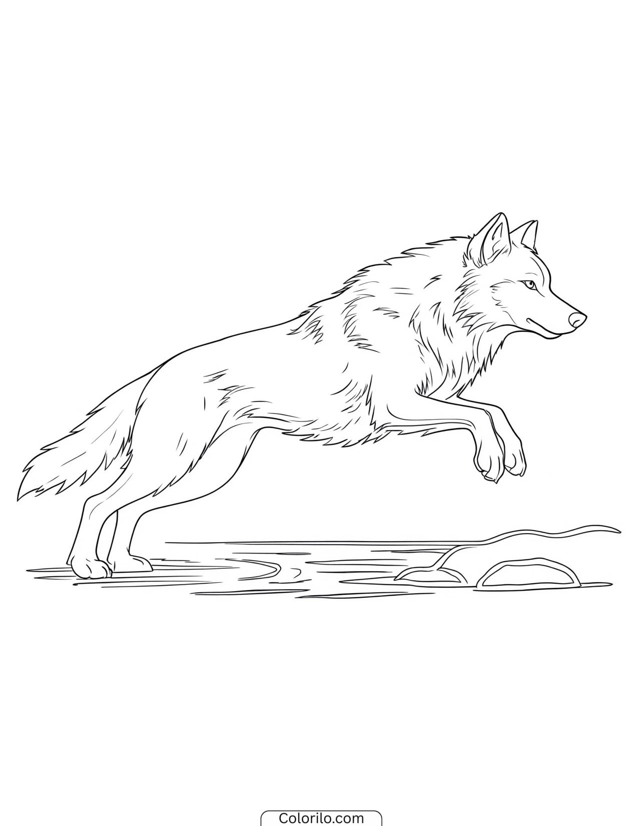Wolf leaping forward at full stretch coloring page