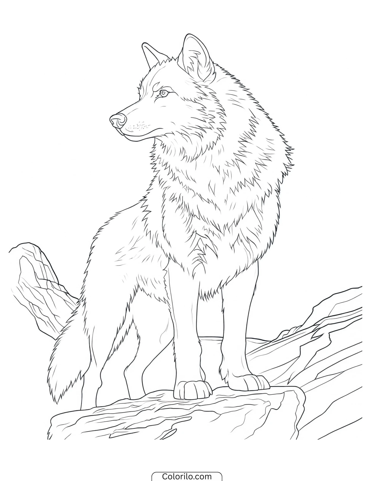 Wolf looking back over its shoulder coloring page