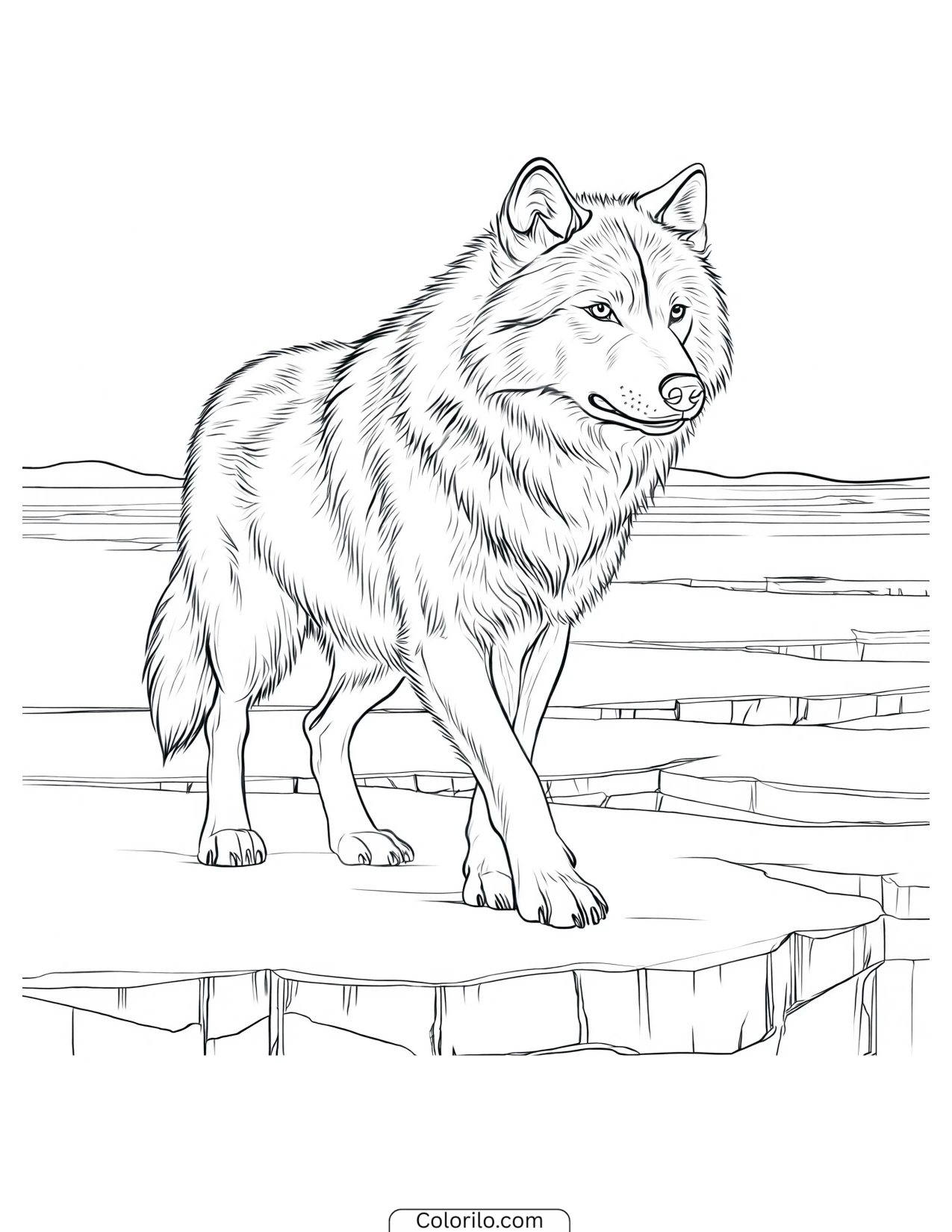 Wolf stepping carefully across cracked ice coloring page