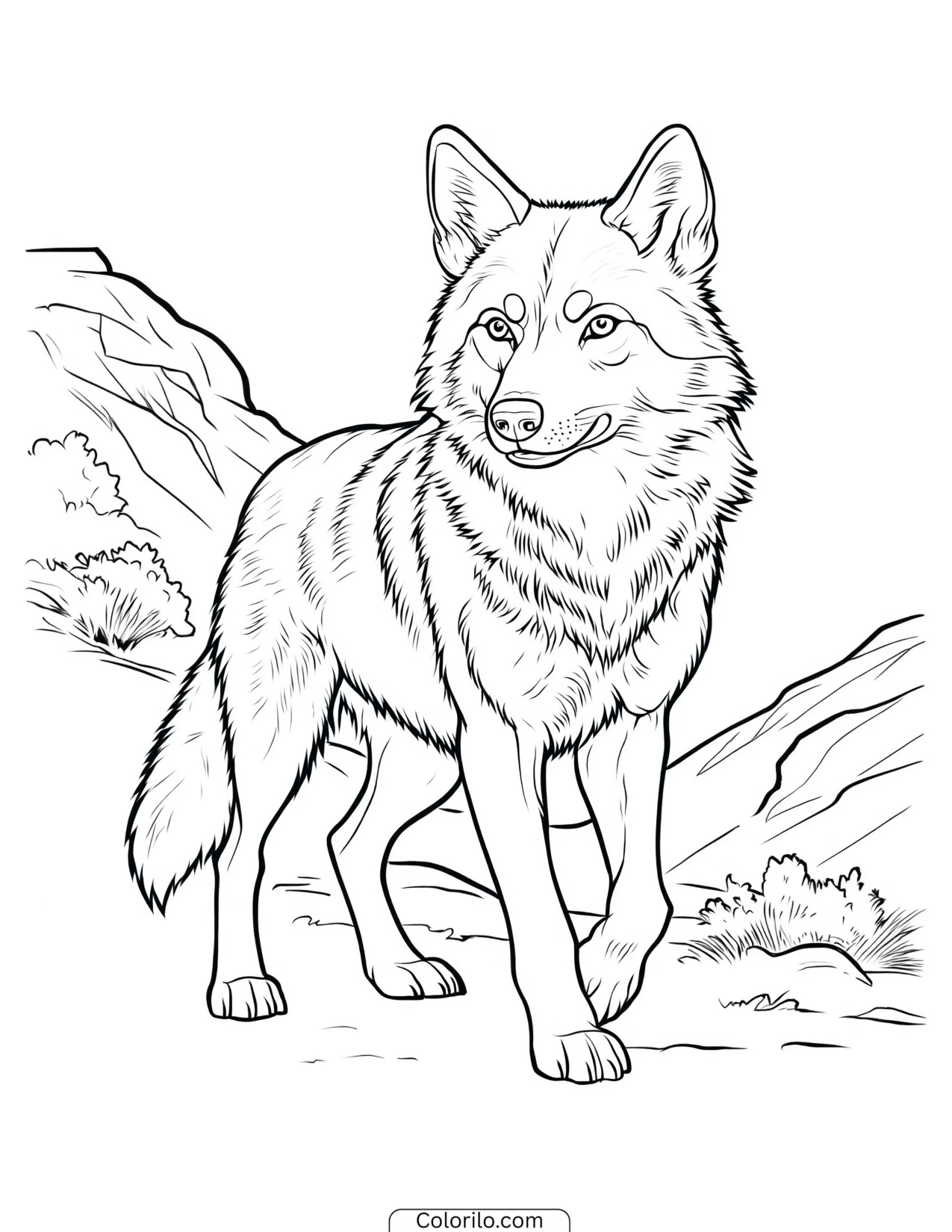 Wolf pausing on rough rocky terrain coloring page