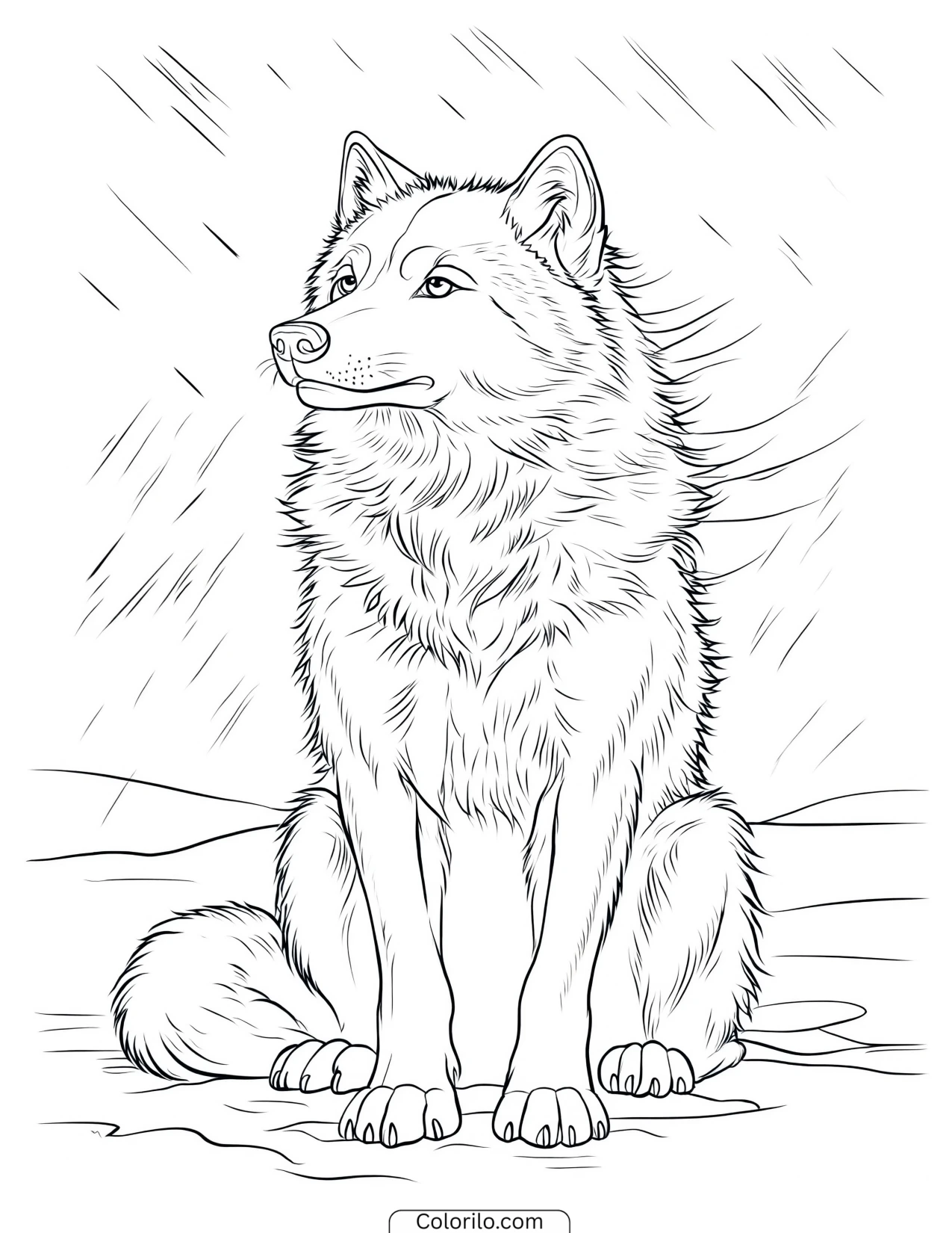 Wolf sitting still in falling rain coloring page
