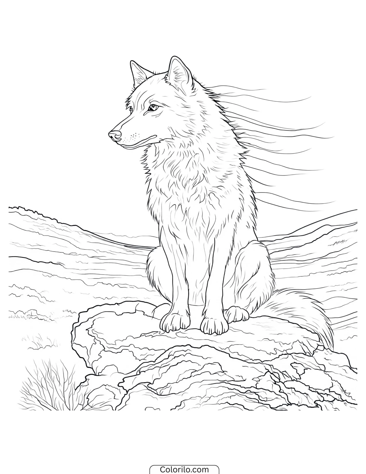 Wolf sitting with its fur blown by wind coloring page