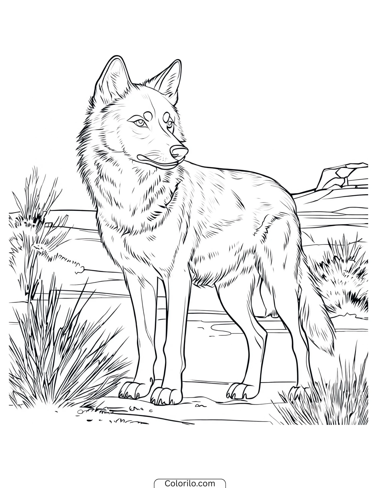 Wolf surveying open plains from a rise coloring page
