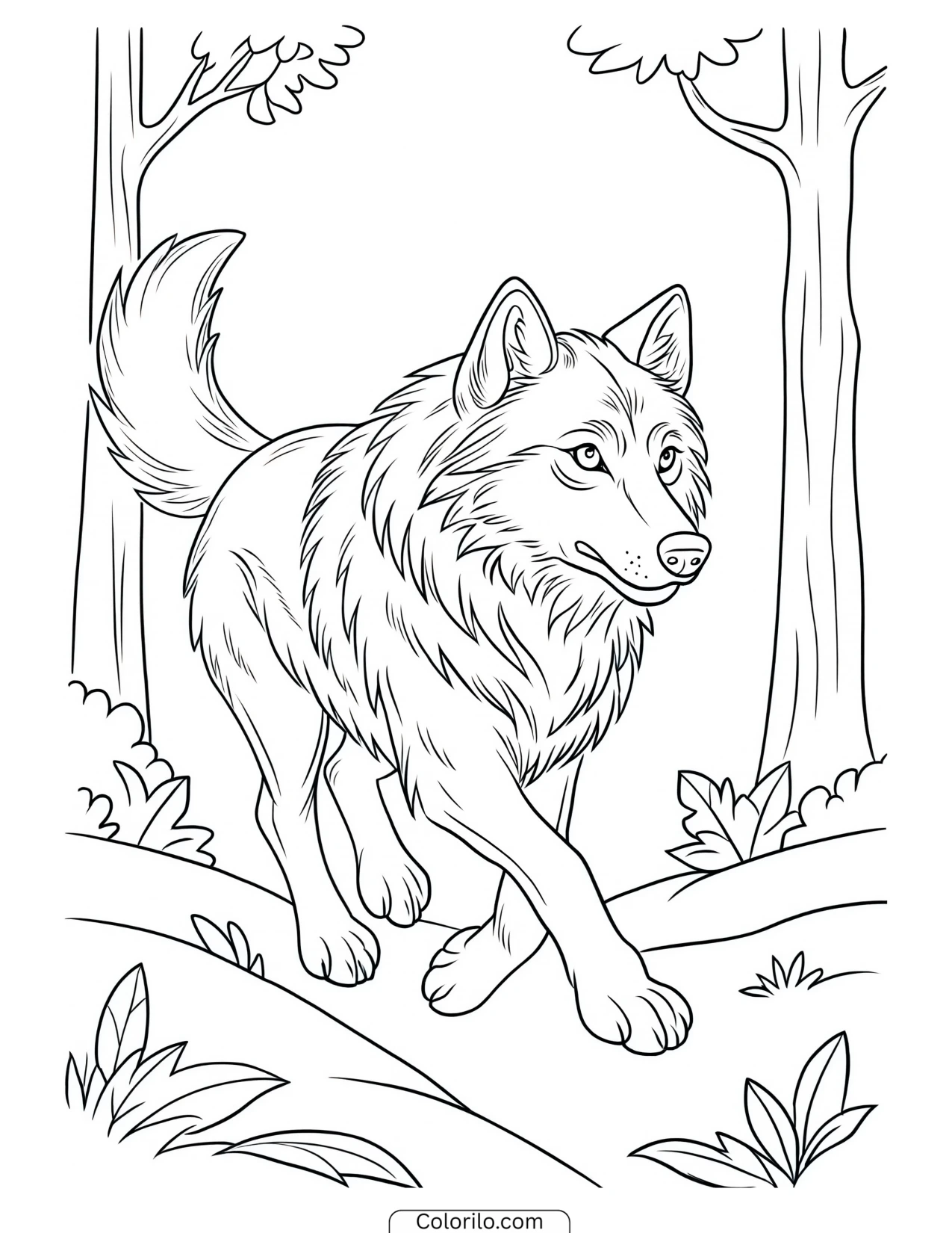 Wolf trotting between forest trees coloring page