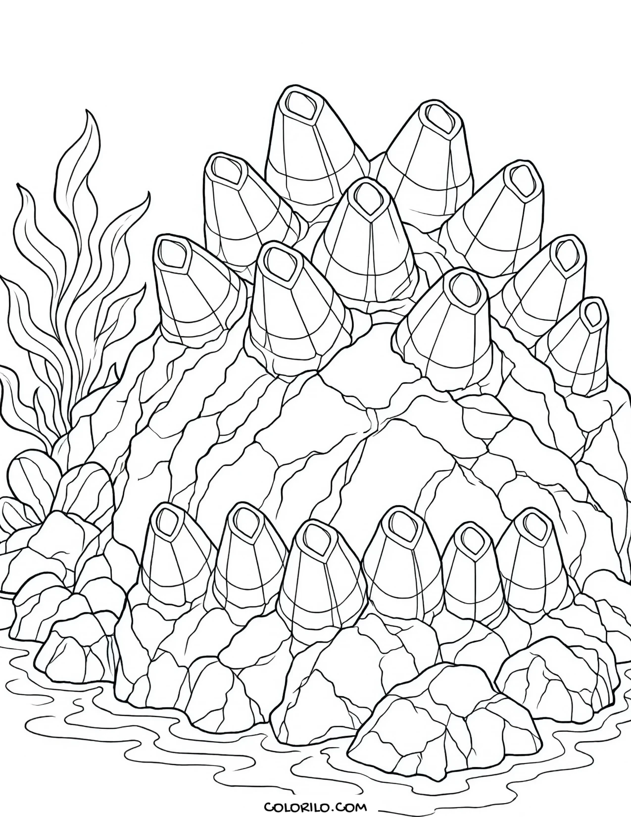 Acorn barnacles clustered on intertidal rocks coloring page