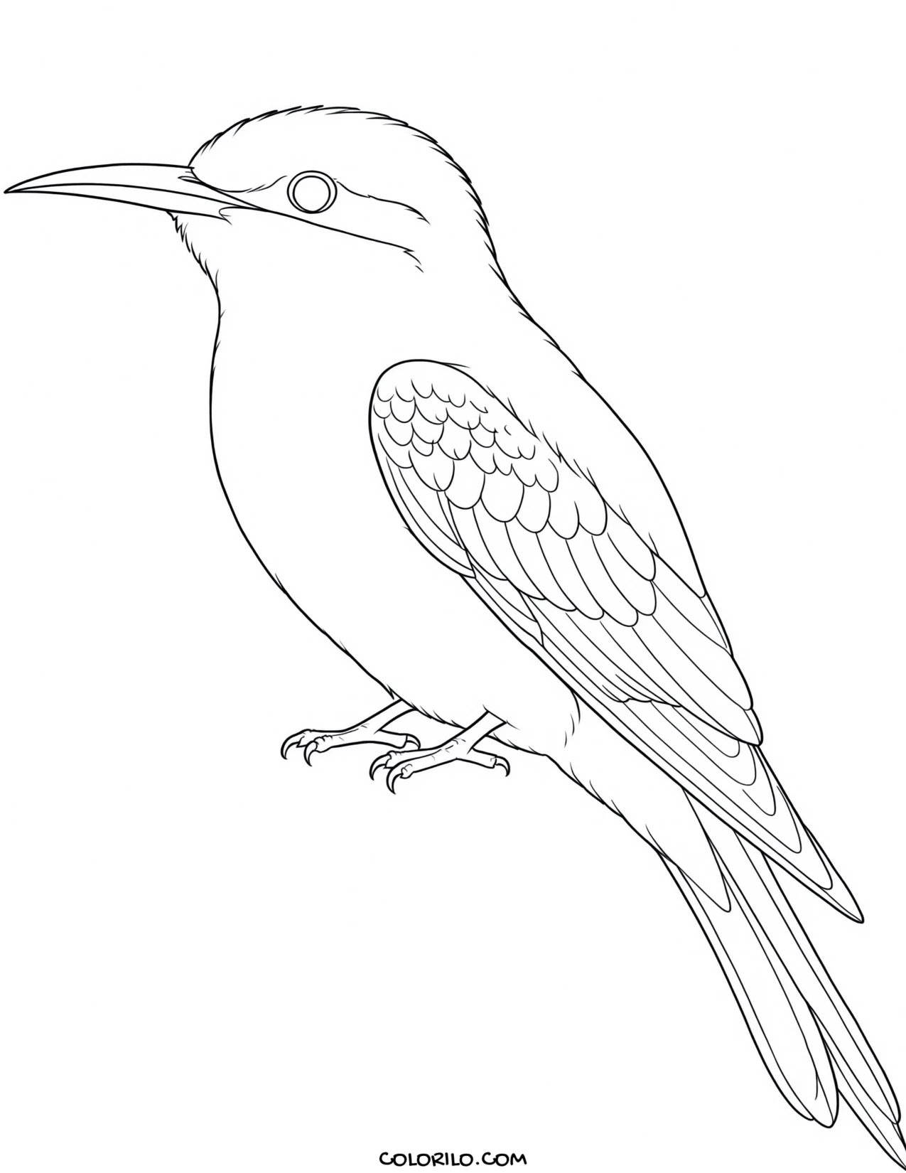 An African grey parrot coloring page