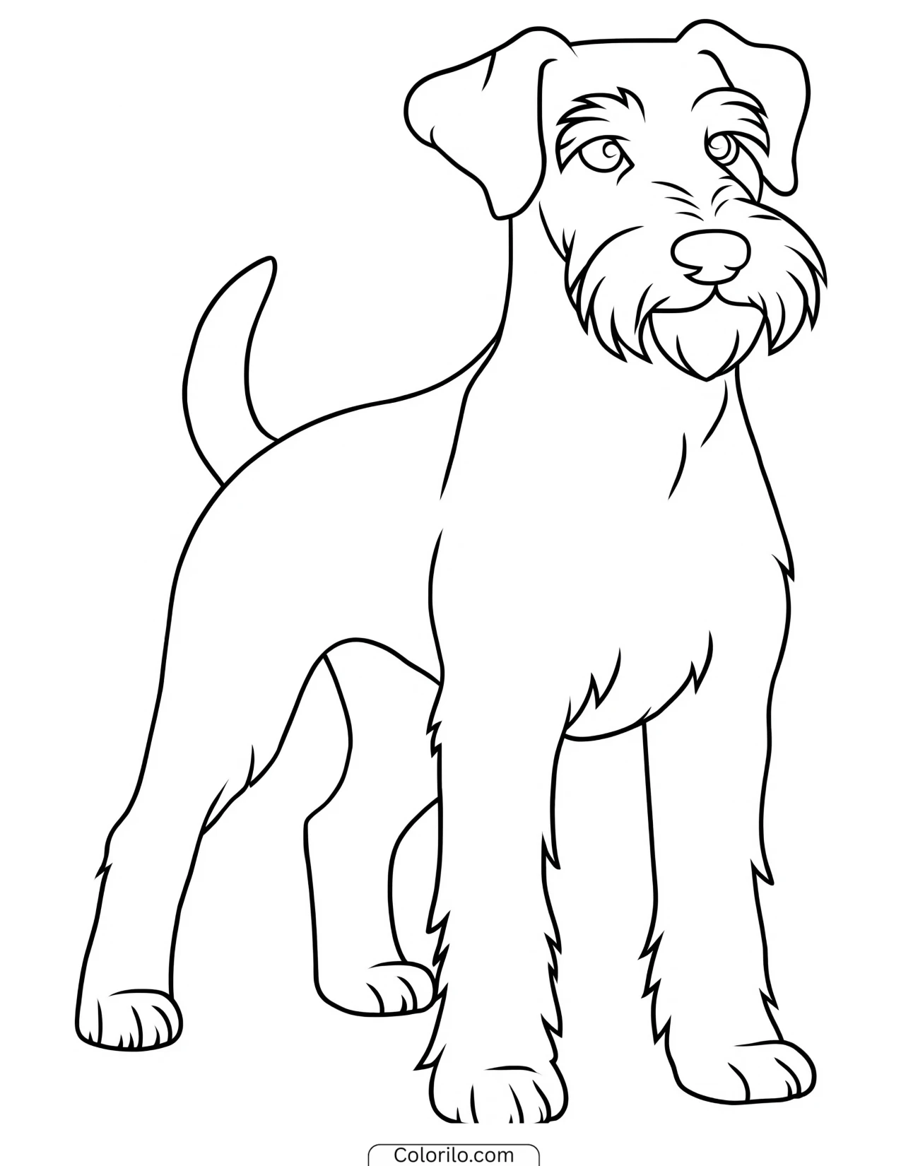 An Airedale Terrier standing tall coloring page