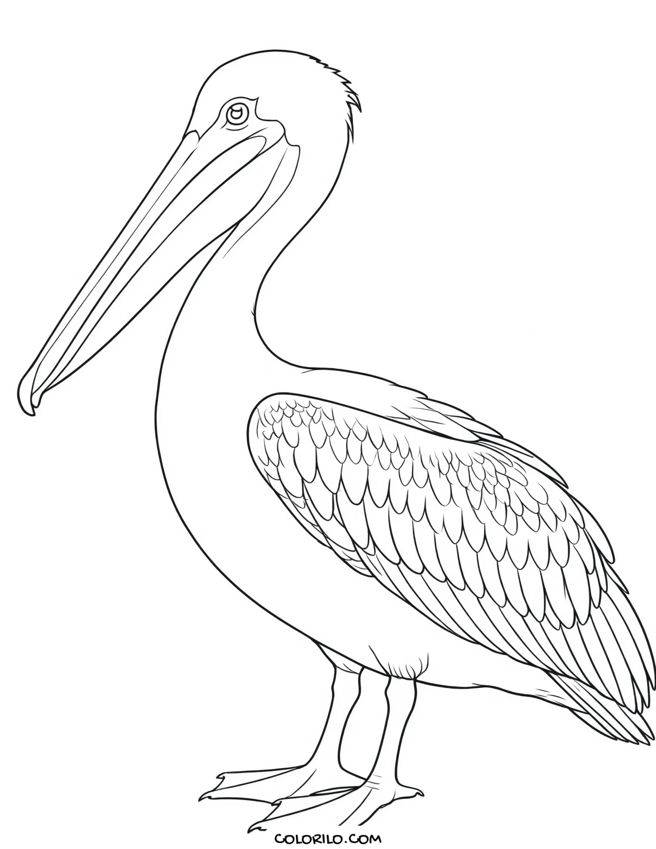An American goldfinch coloring page