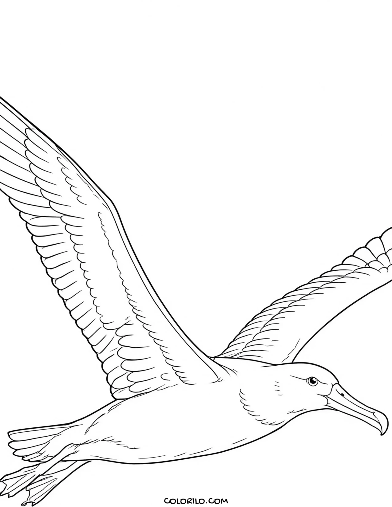 An American kestrel coloring page